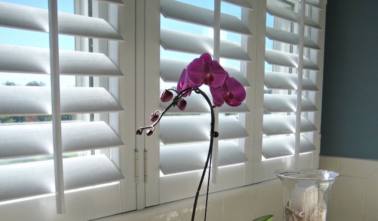 Faux wood plantation shutters in Fort Lauderdale